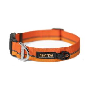 High Visibility Orange Dog Collar with Reflective Stitching for Small to Large Pets