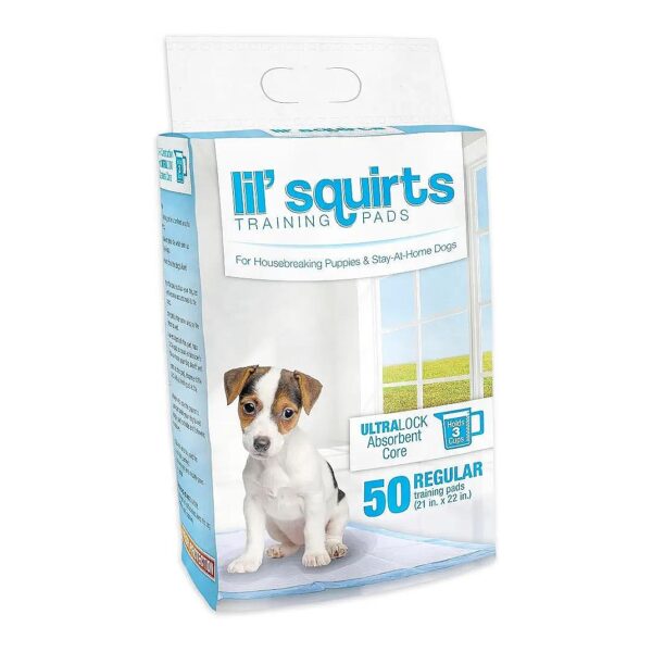 High-Capacity Puppy Training Pads for Large Breeds