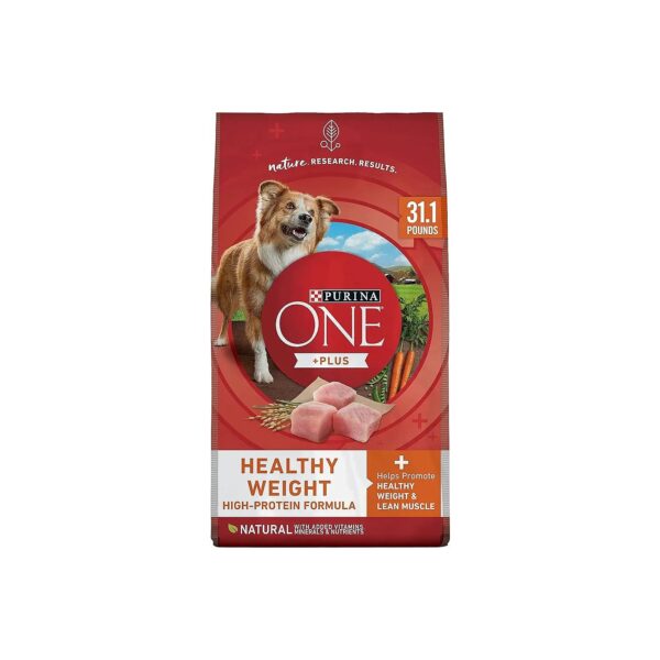 High-Protein Adult Dog Food with Omega-6 Fatty Acids for Skin Health