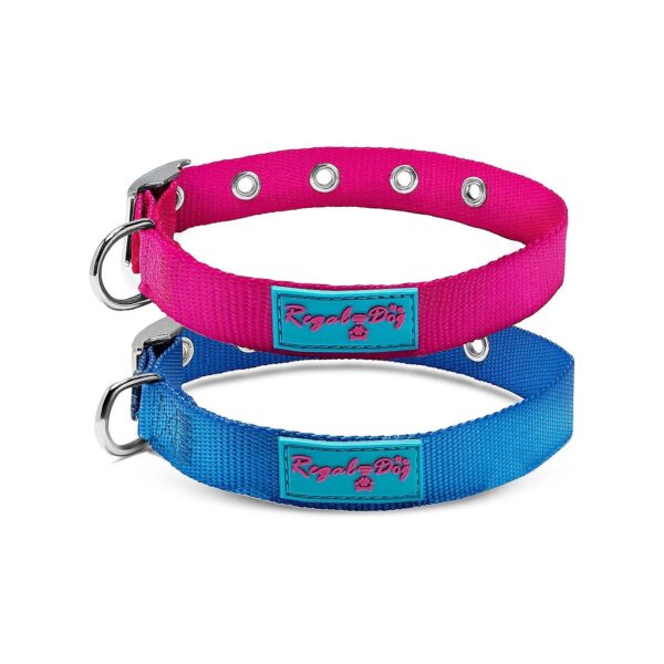 High-Quality Blue Nylon Dog Collar with Metal Buckle for Medium and Large Dogs