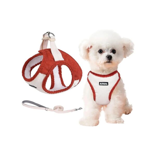 High-Quality Dog Leash Set with Step-In Dog Harness and Safety Buckle