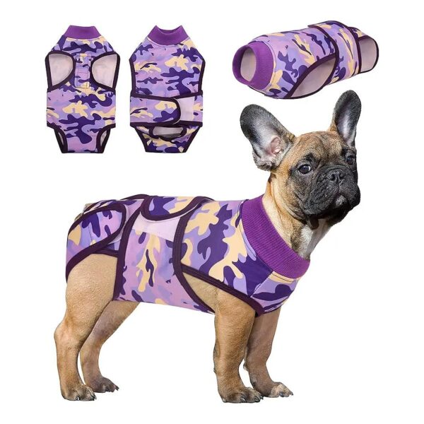 High-Quality Dog Recovery Suit for Surgical Wounds and Licking Prevention XX-Large