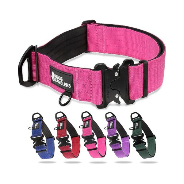 High-Quality Heavy Duty Dog Collar with Quick Release Metal Buckle and Reinforced Nylon