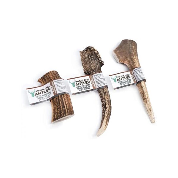 High-Quality Large Antler Stick for Pet Care