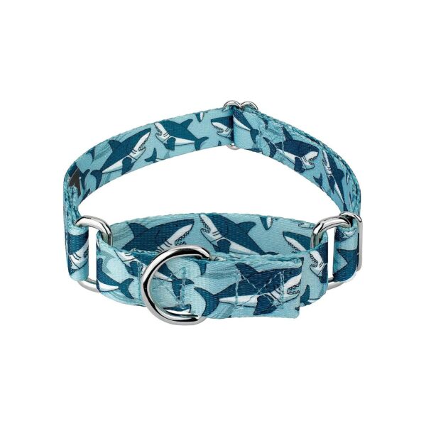 High-Quality Martingale Dog Collar with Sharks Pattern and Durable 1 Inch Width