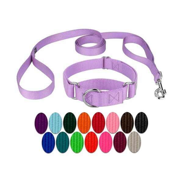 High-Quality Nylon Dog Collar and Double Handle Leash for Medium Dogs