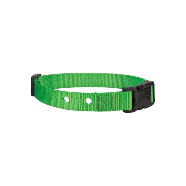 High-Quality Nylon Dog Collar for Fence Receivers - Adjustable Neck Fit