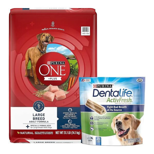 High-Quality Protein-Rich Large Breed Dog Food and Dental Chews Bundle