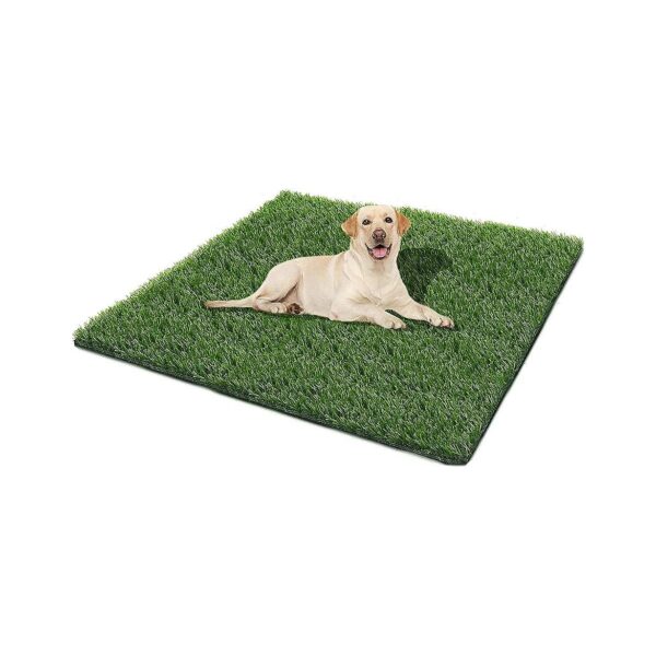 High-Quality Rubber-Backed Synthetic Grass Pad for Indoor and Outdoor Use, Potty Training