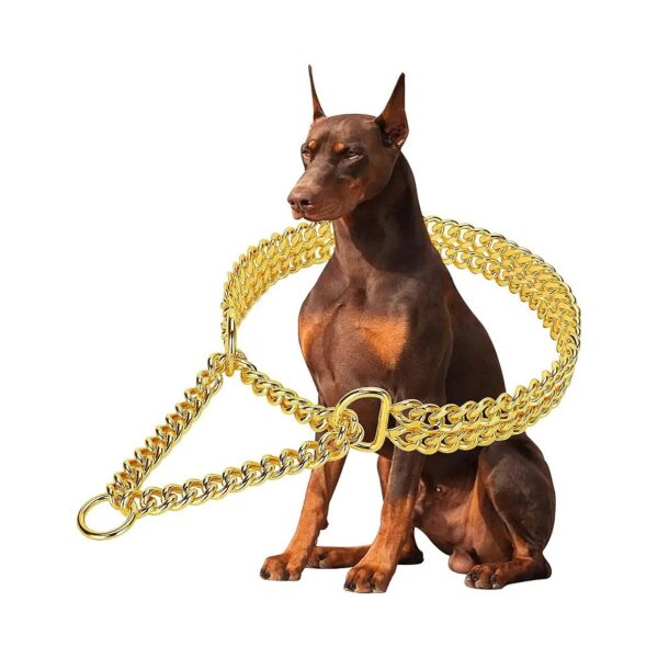 High-Quality Stainless Steel and 18K Gold Dog Collar for Small Medium Large Dogs