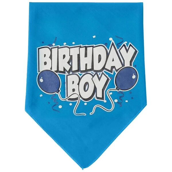 High-Quality Turquoise Bandana for Large Cats on Birthday Celebrations