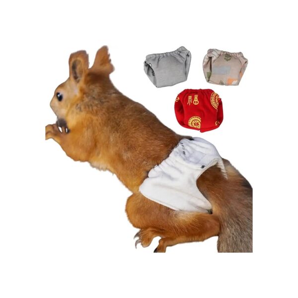 Highly Absorbent Washable Diapers for Squirrels and Rats