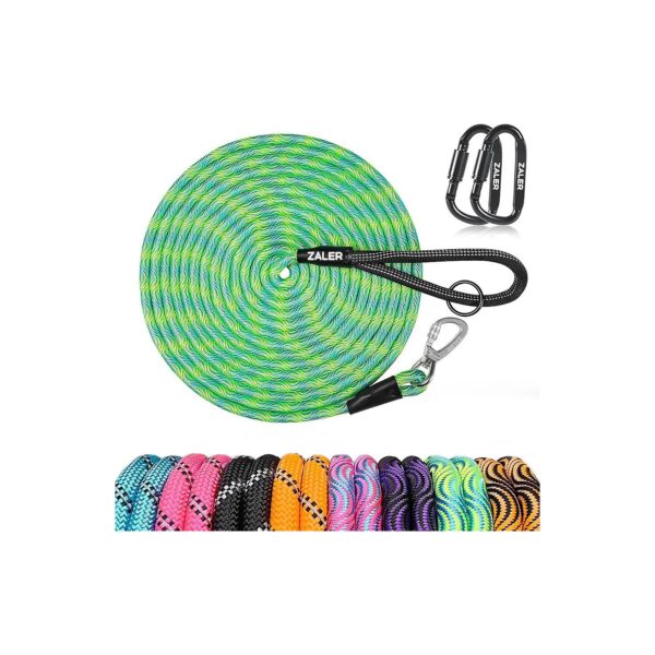 High-quality Blue Green Nylon Leash for Dog Walking, Training, and Camping Adventures