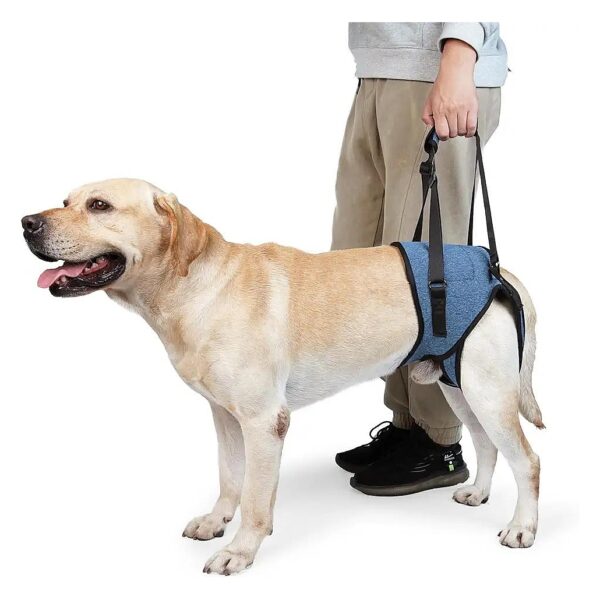 Hind Leg Support Dog Sling for Large Dogs Arthritis ACL Recovery