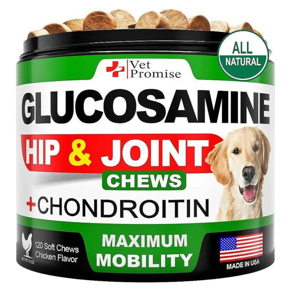 Hip and Joint Pain Relief for Dogs with Glucosamine and Chondroitin Supplement