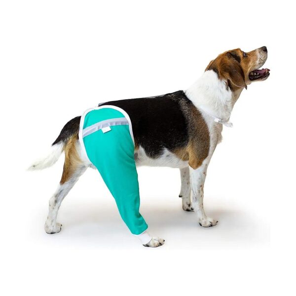 Hip and Thigh Wound Protective Sleeve for Small Dogs in Teal Green