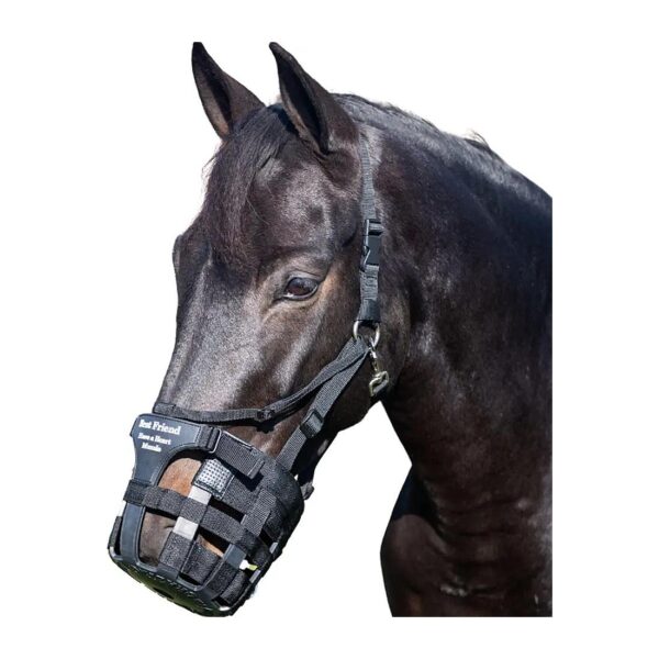 Horse Muzzle with Adjustable Noseband for Custom Fit and Comfort