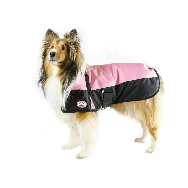 Horse Tough Dog Coat for Cold Weather Medium Weight