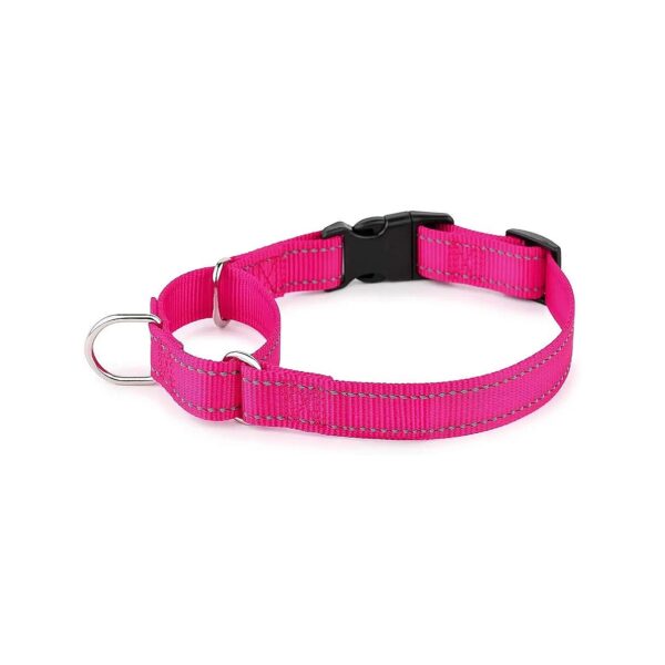 Hot Pink Martingale Collar with Quick Snap Buckle for Small Medium Large Dogs