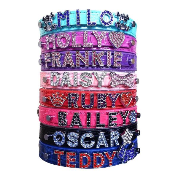 Hot Pink to Blue Custom Dog Collars with Rhinestones and Personalized Names