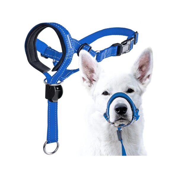 Humane Dog Head Halter with Soft Padded Headcollar and Safety Strap