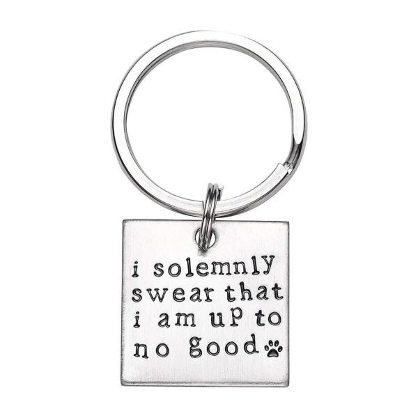 I Solemnly Swear Pet Identification Tag for Cats and Dogs