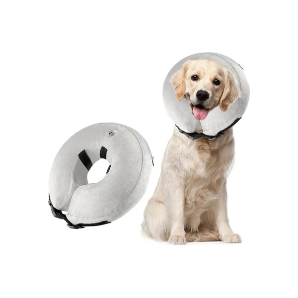 Inflatable Collar for Dogs after Spay or Neuter Surgery Recovery