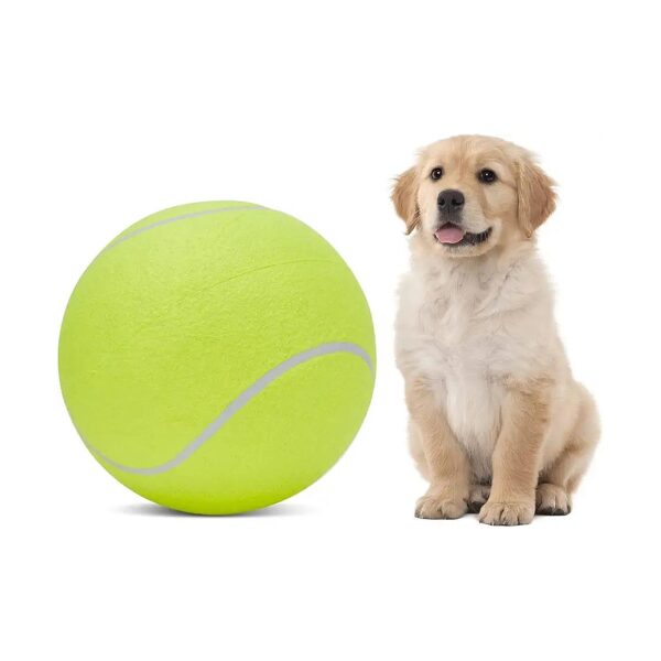 Inflatable Tennis Ball Toy for Kids and Pets to Play Together