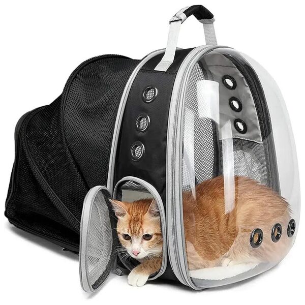 Innovative Expandable Cat Carrier Backpack for Comfortable and Secure Pet Travel