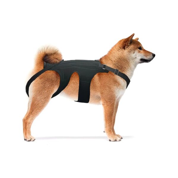 Innovative Medium Dog Back Support for Arthritis and Spinal Conditions Relief