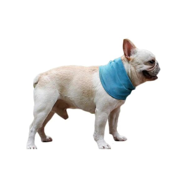 Instant Cooling Scarf for Dogs Summer Pet Bandana Cat Collar