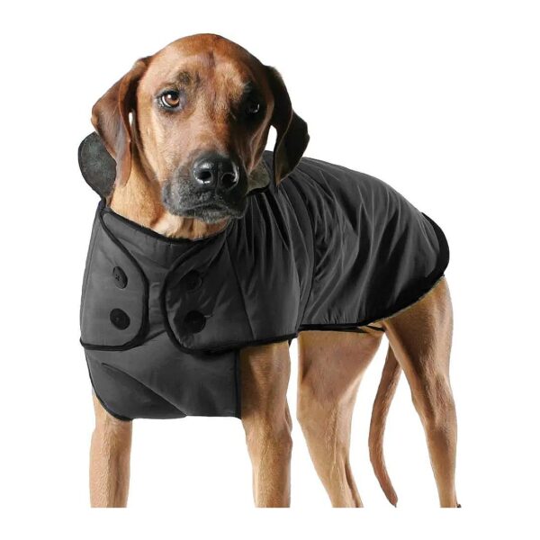 Insulated Dog Coat for Winter Adventures with Waterproof and Windproof Fabric