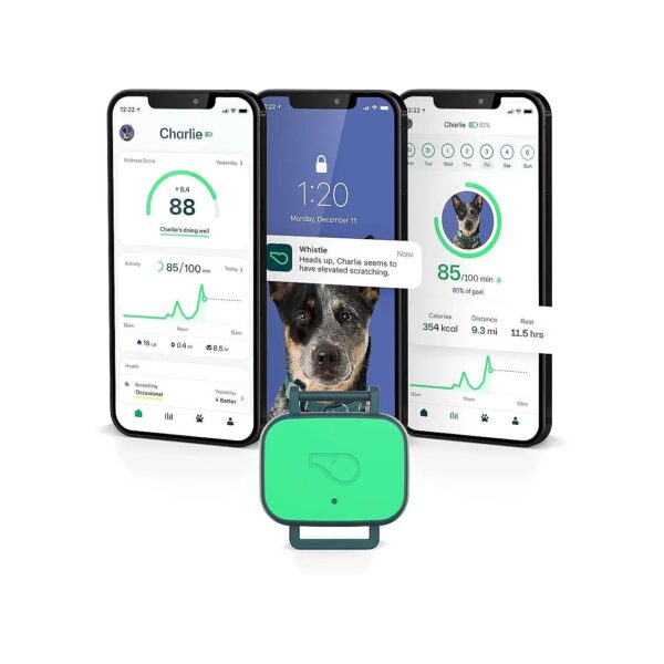 Intelligent Dog Health and Fitness Tracker for Monitoring Key Health Metrics