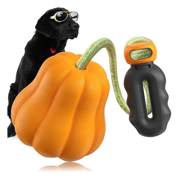 Interactive Dog Toy for Large Medium Dogs Outdoor Fetch Pumpkin Pet Toy