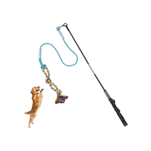 Interactive Dog Toys for Outdoor Exercise and Training with Teaser Wand Lure Chewing Toy