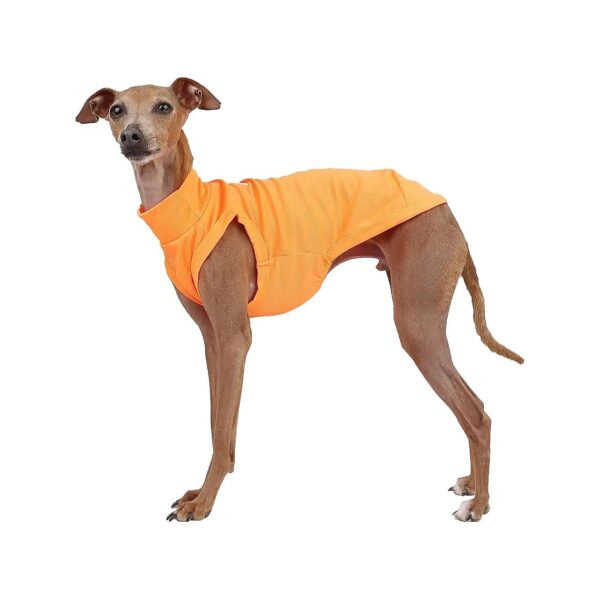 Italian Greyhound Clothes Summer Cool T Shirts Rashguard Swimsuit for Dogs Polyester 100%