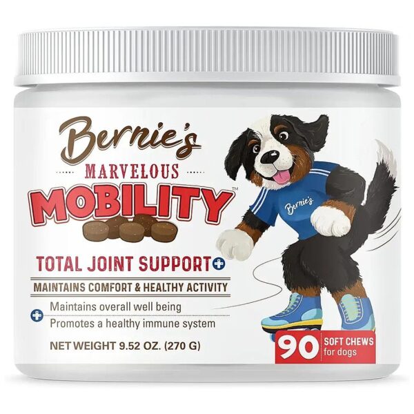 Joint Health Supplement for Dogs on the Move with Antioxidants and Omega-3s