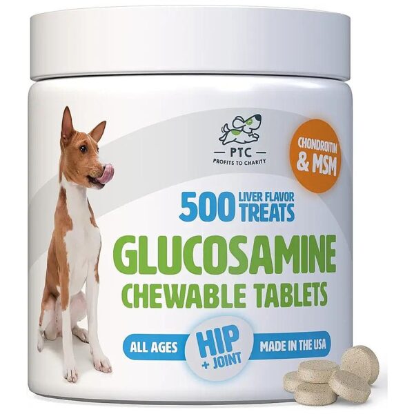 Joint Mobility and Arthritis Relief for Dogs with Glucosamine