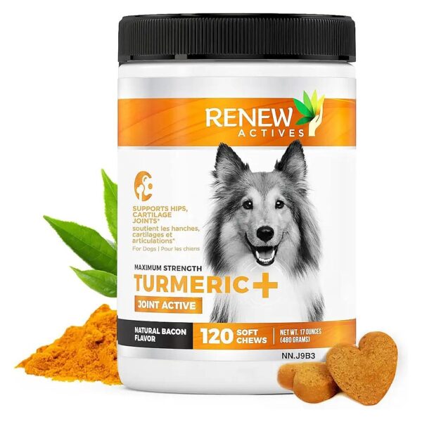 Joint and Cartilage Support Supplement for Dogs with Organic Turmeric and Herbal Extracts