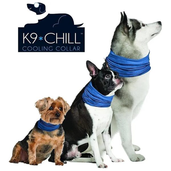 K9 Cooling Dog Collar for Small to Medium Breeds