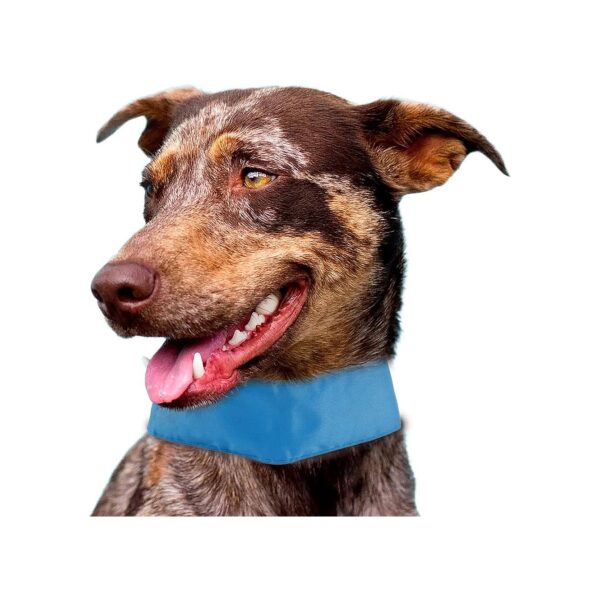 Keep Your Dog Cool with this Adjustable Cooling Neck Wrap