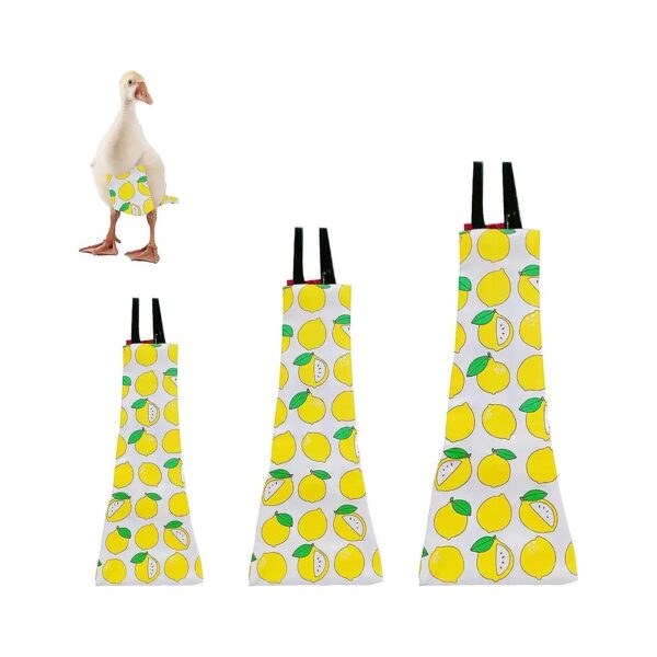 Keep Your Poultry Safe and Clean with Washable Reusable Diapers for Chickens