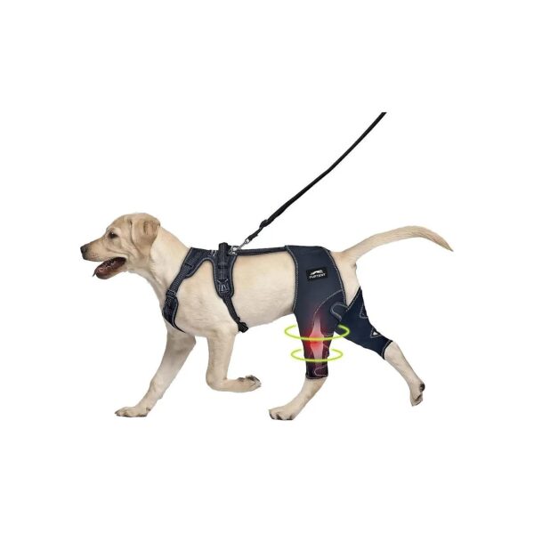 Knee Joint Support for Pets with Cruciate Ligament Injuries