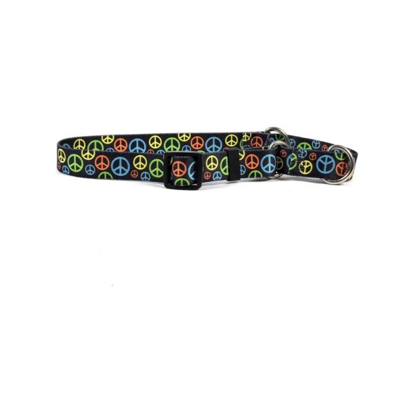 Krafty Polyester Martingale Collar for Active and Adventurous Dogs