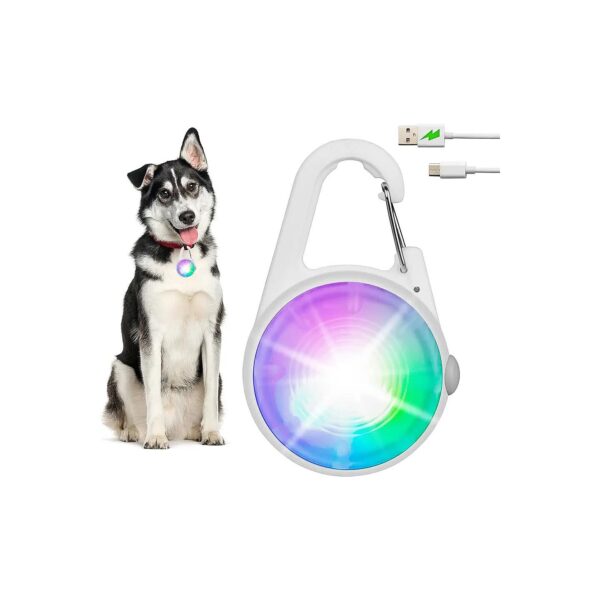 LED Dog Collar Light for Small and Large Breed Dogs with Long Life and USB Rechargeable