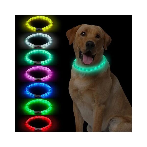 LED Dog Collar with 7 Colors Changing Light for Night Walking Visibility and Safety