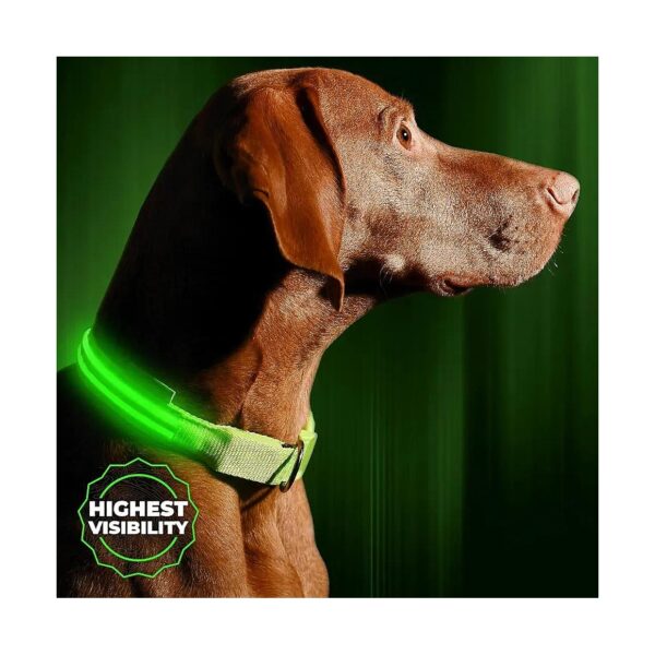 LED Dog Collar with High Visibility Light for Safe Night Walking in 6 Colors and 6 Sizes