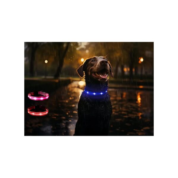 LED Dog Collar with Multiple Lighting Modes for Nighttime Visibility