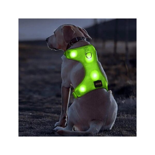 LED Dog Walking Harness with Flash Modes for Small Medium Large Dogs - Green Medium