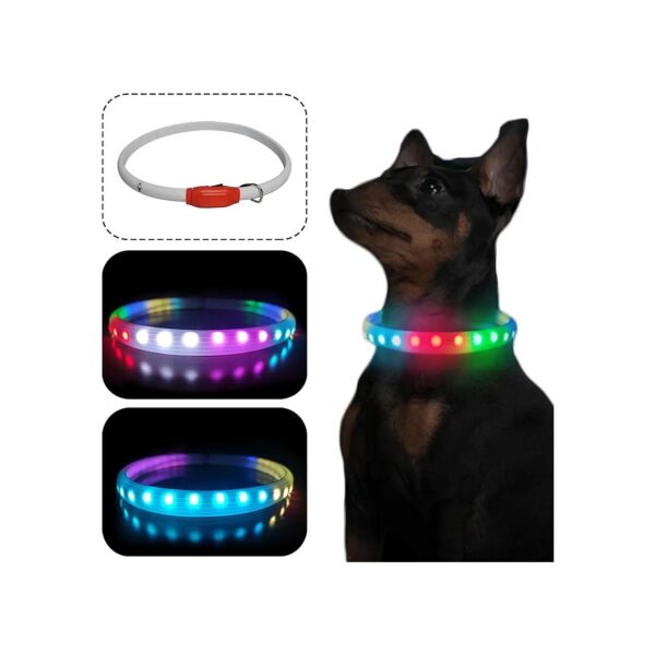 LED Lighted Dog Collar with Rechargeable Battery for Night Walking Safety